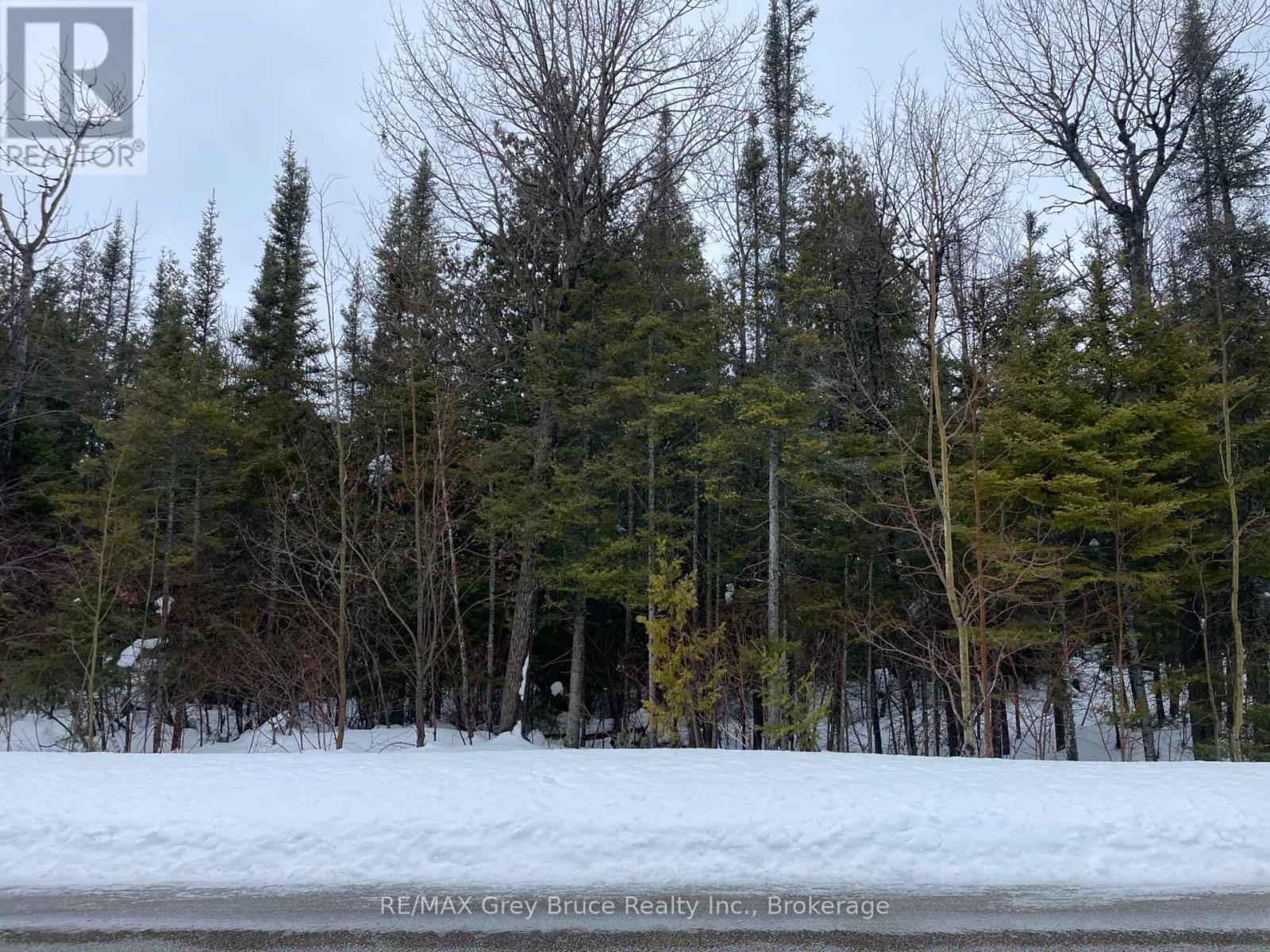 Part Farm Lot 4 Chi Sin Tib Dek Road, Northern Bruce Peninsula, Ontario  N0H 2R0 - Photo 5 - X12806974