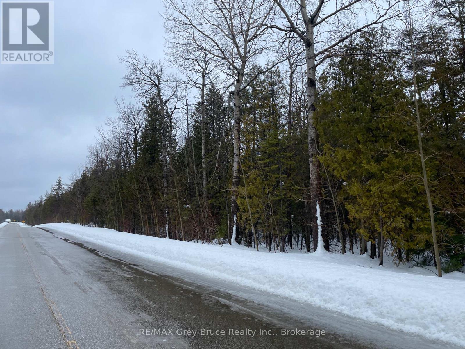 Part Farm Lot 4 Chi Sin Tib Dek Road, Northern Bruce Peninsula, Ontario  N0H 2R0 - Photo 6 - X12806974