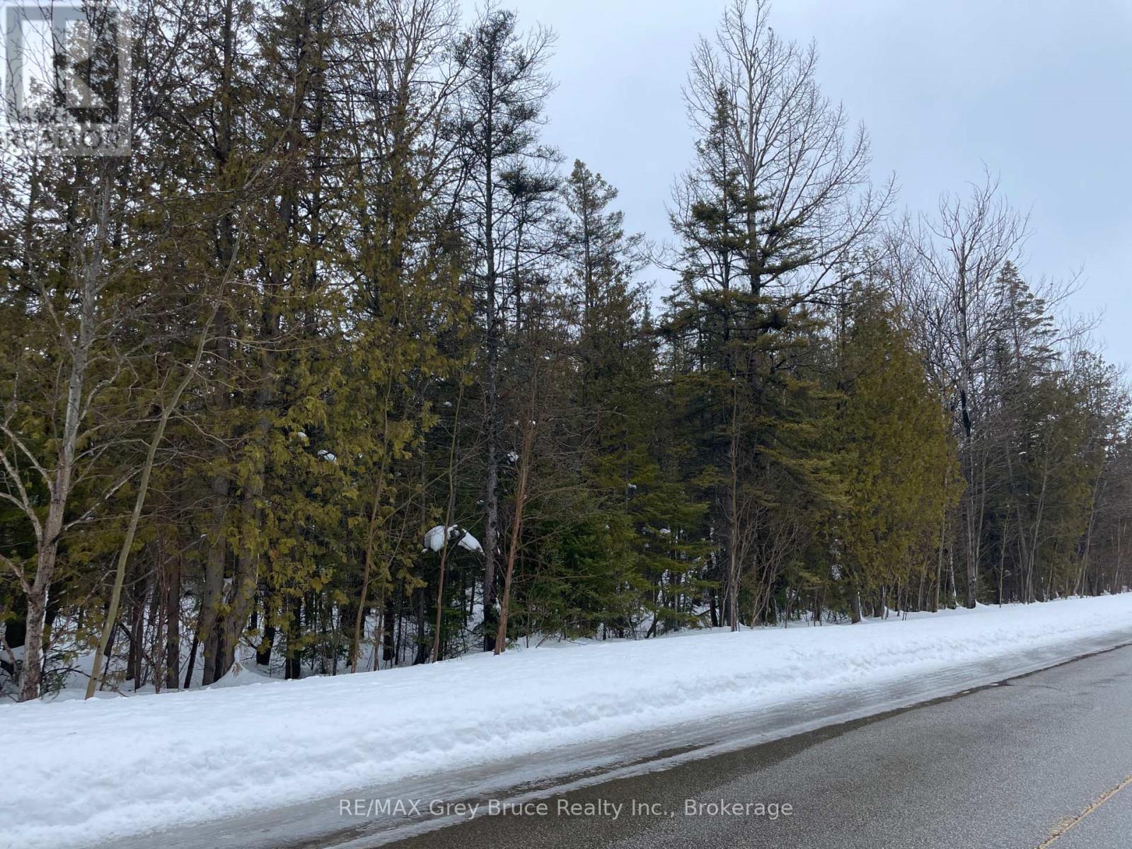 Part Farm Lot 4 Chi Sin Tib Dek Road, Northern Bruce Peninsula, Ontario  N0H 2R0 - Photo 8 - X12806974