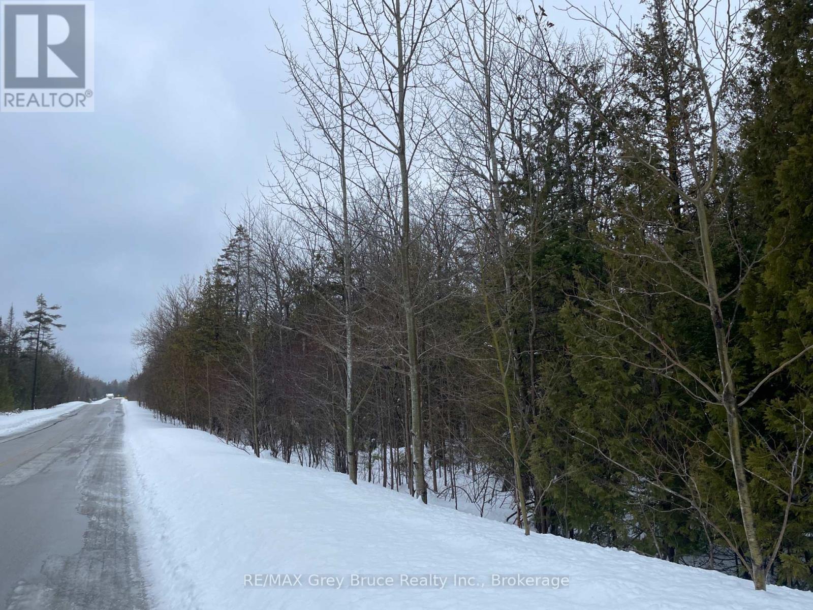 Part Farm Lot 4 Chi Sin Tib Dek Road, Northern Bruce Peninsula, Ontario  N0H 2R0 - Photo 9 - X12806974