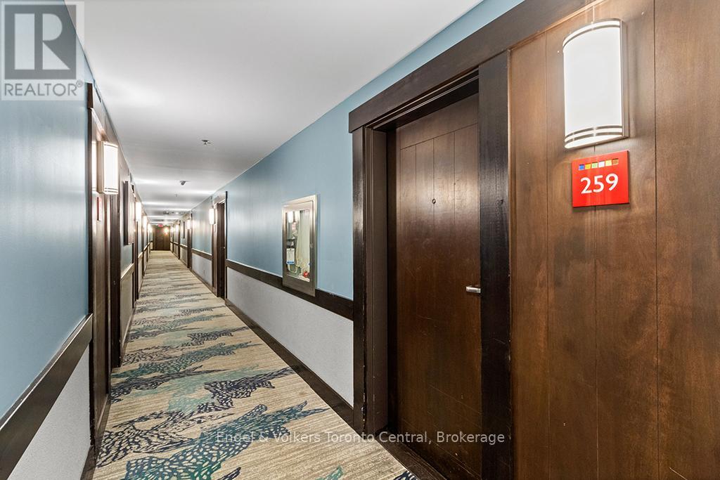 259 - 190 Jozo Weider Boulevard, Blue Mountains, Ontario  L9Y 0V2 - Photo 20 - X12807126