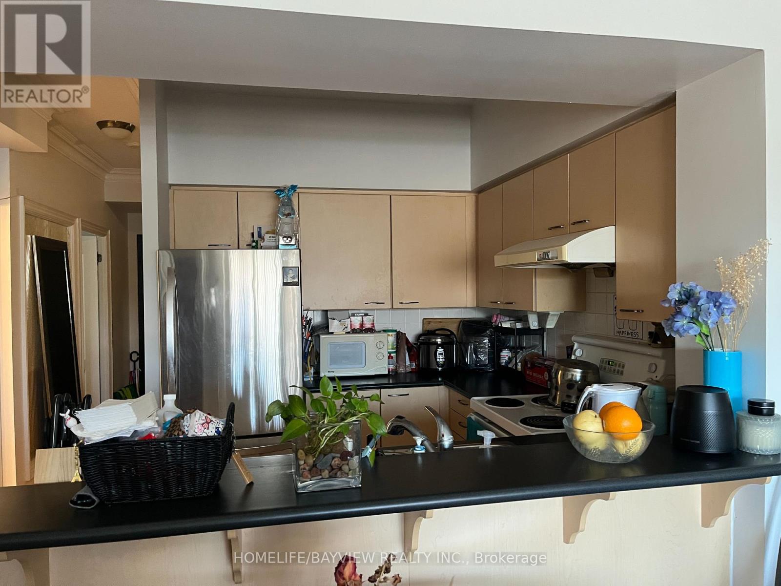 209 - 2 Clairtrell Road, Toronto, Ontario  M2N 7H5 - Photo 14 - C12805322