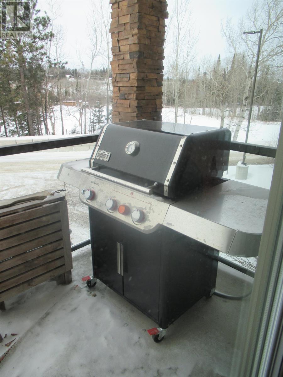 103 1230 Dawson Rd, Thunder Bay, Ontario  P7B 1H7 - Photo 24 - TB2600150