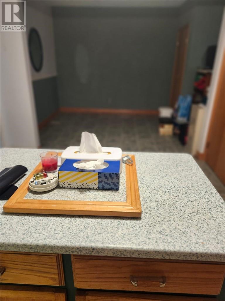 217 St George Street, Sudbury, Ontario  P3C 2X1 - Photo 13 - 2126513