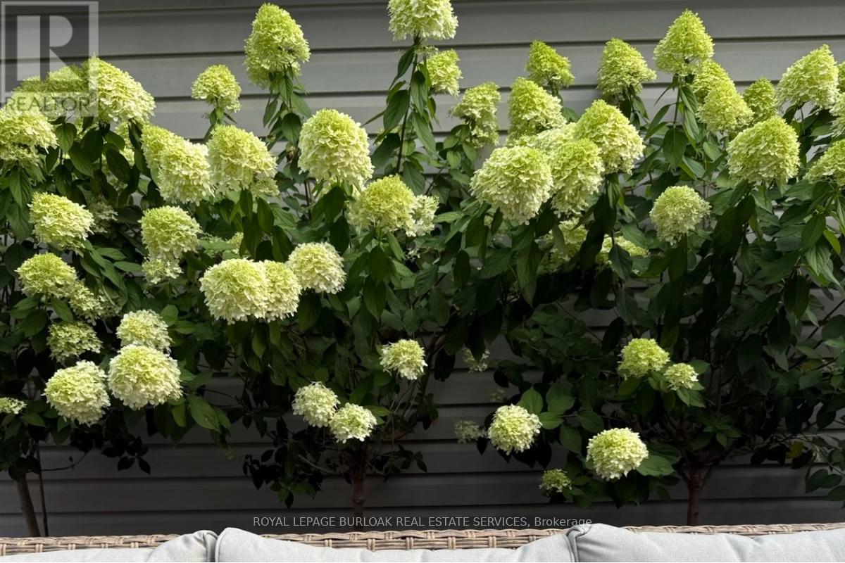 191 Gatwick Drive, Oakville, Ontario  L6H 6T6 - Photo 40 - W12807220