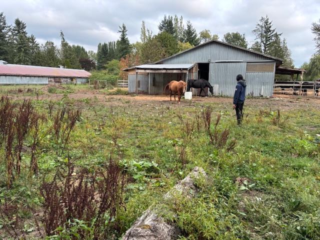 2617 208 Street, Langley, British Columbia  V2Z 2B1 - Photo 7 - R3091946