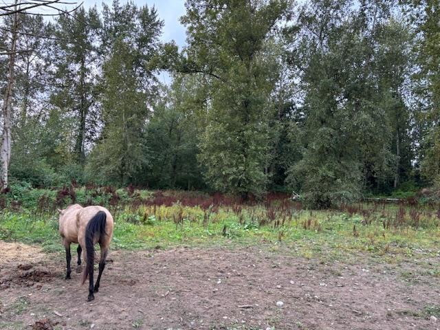 2617 208 Street, Langley, British Columbia  V2Z 2B1 - Photo 9 - R3091946