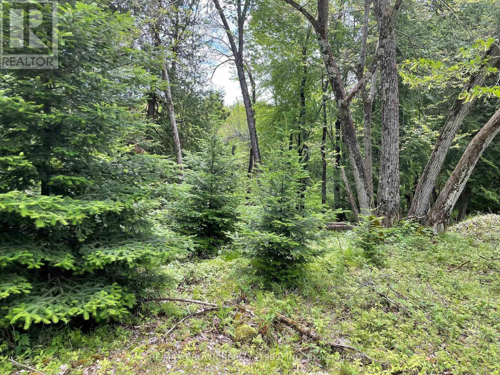 4 Smith Island, Callander, Ontario  P0H 1H0 - Photo 7 - X12807636