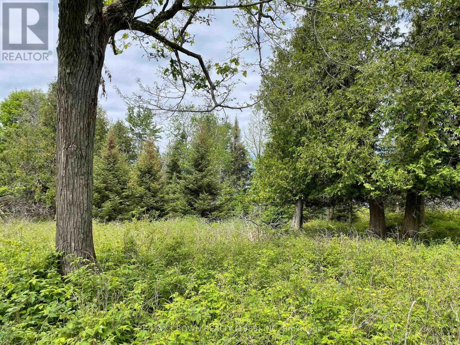 4 Smith Island, Callander, Ontario  P0H 1H0 - Photo 8 - X12807636