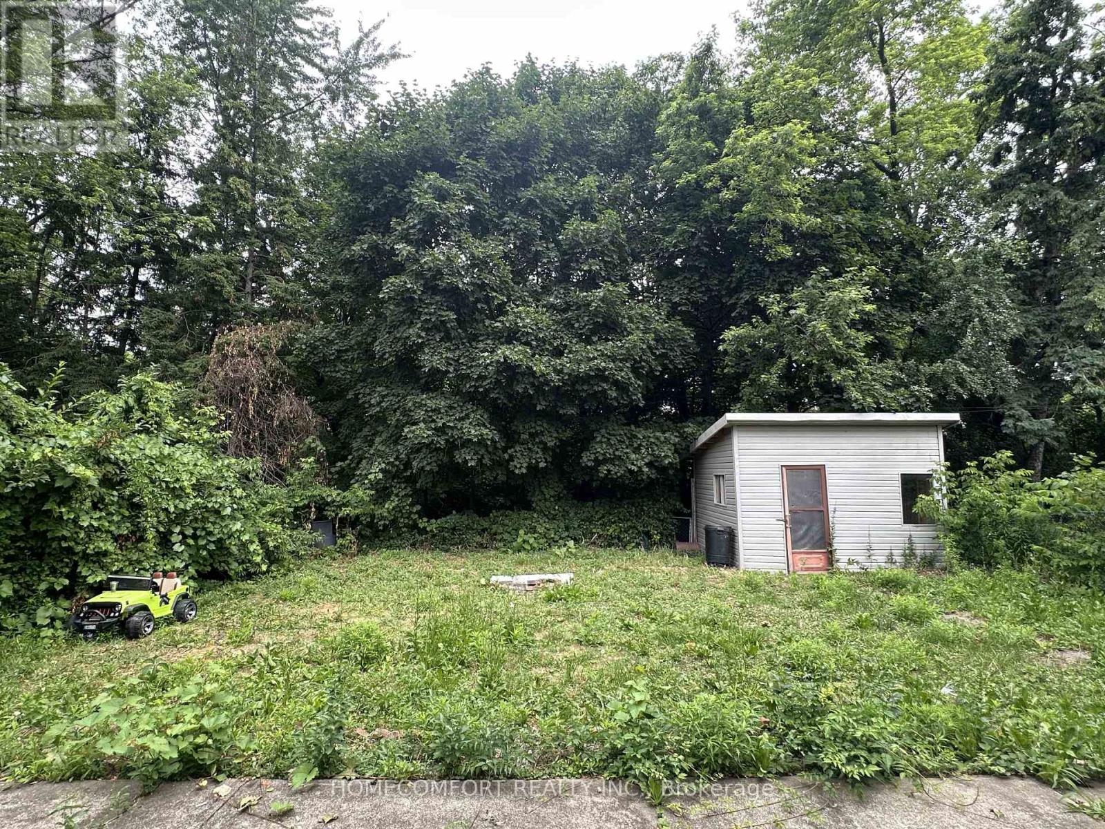 Lower - 72 Langholm Drive, Toronto, Ontario  M3M 2R8 - Photo 23 - W12807790