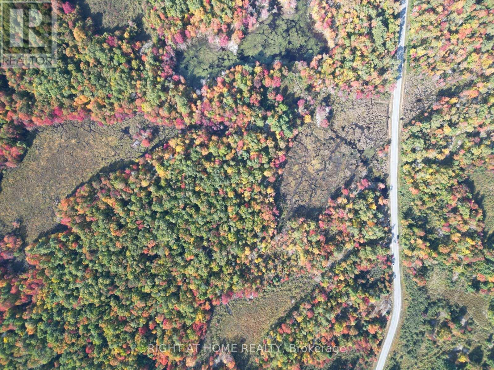 1115 Flinton Road, Tweed, Ontario  K0K 3J0 - Photo 5 - X12808004