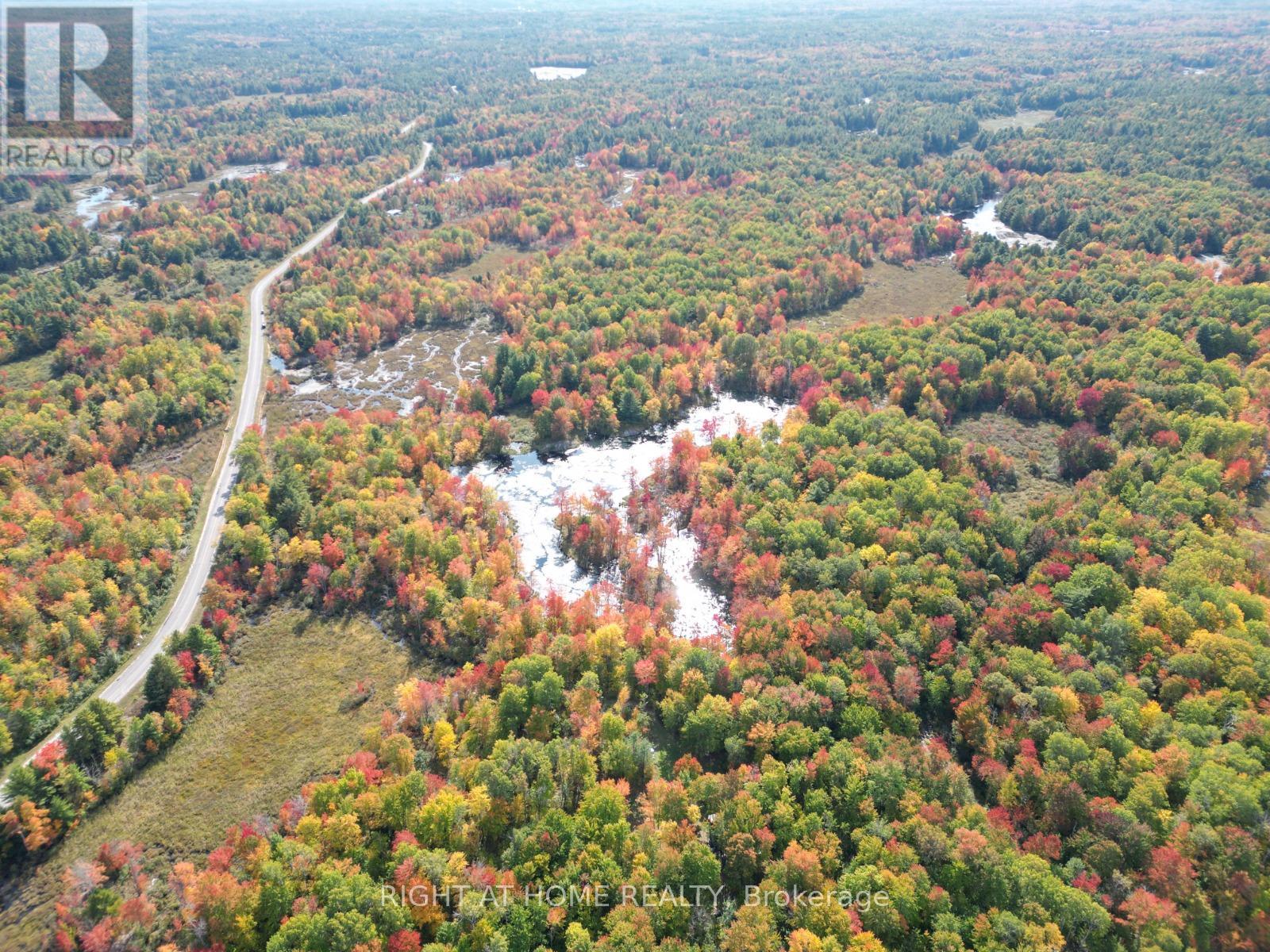 1115 Flinton Road, Tweed, Ontario  K0K 3J0 - Photo 8 - X12808004