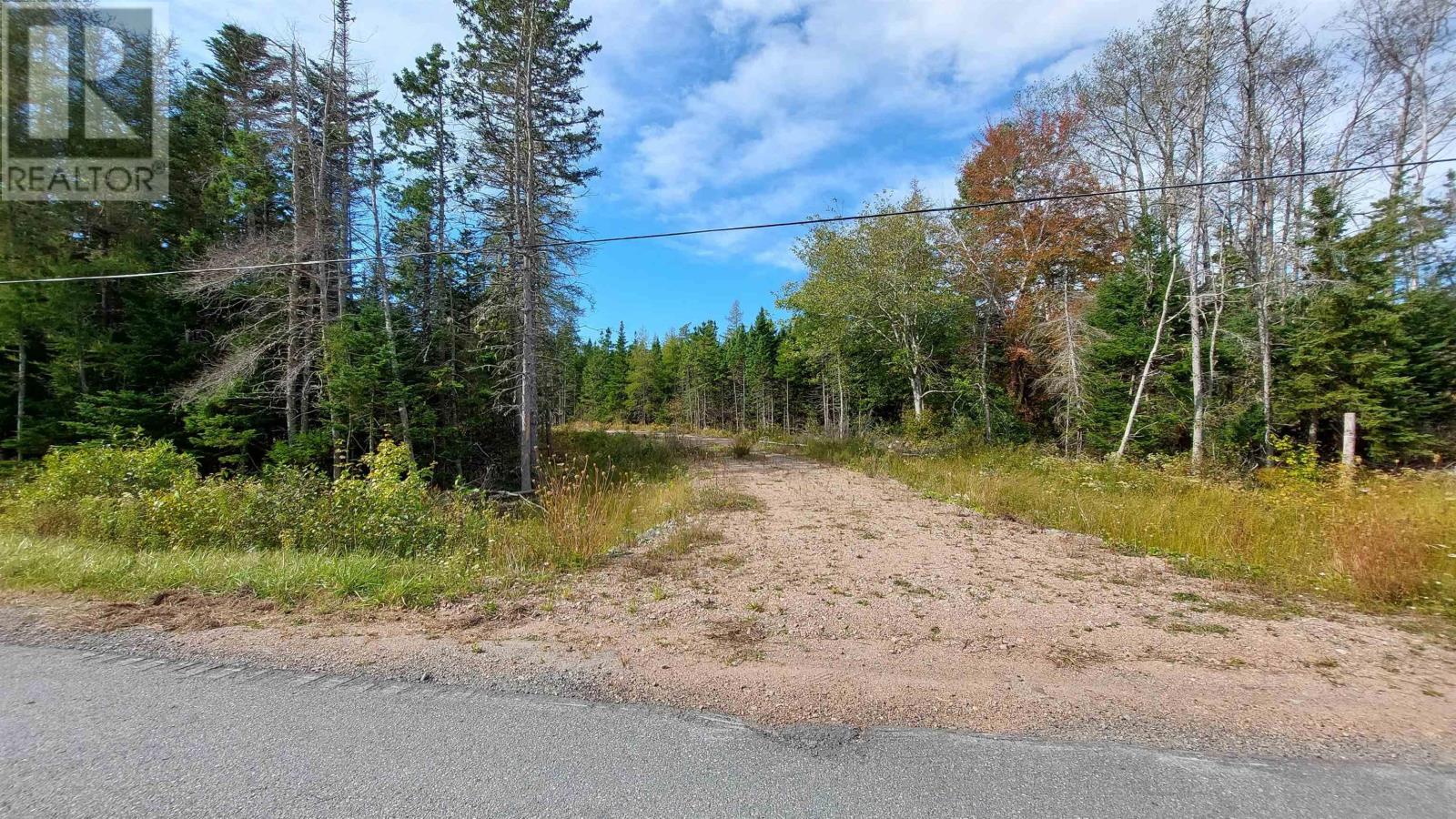 Lot 7 Lower River Rd, Cleveland, Nova Scotia  B0E 1J0 - Photo 4 - 202603181
