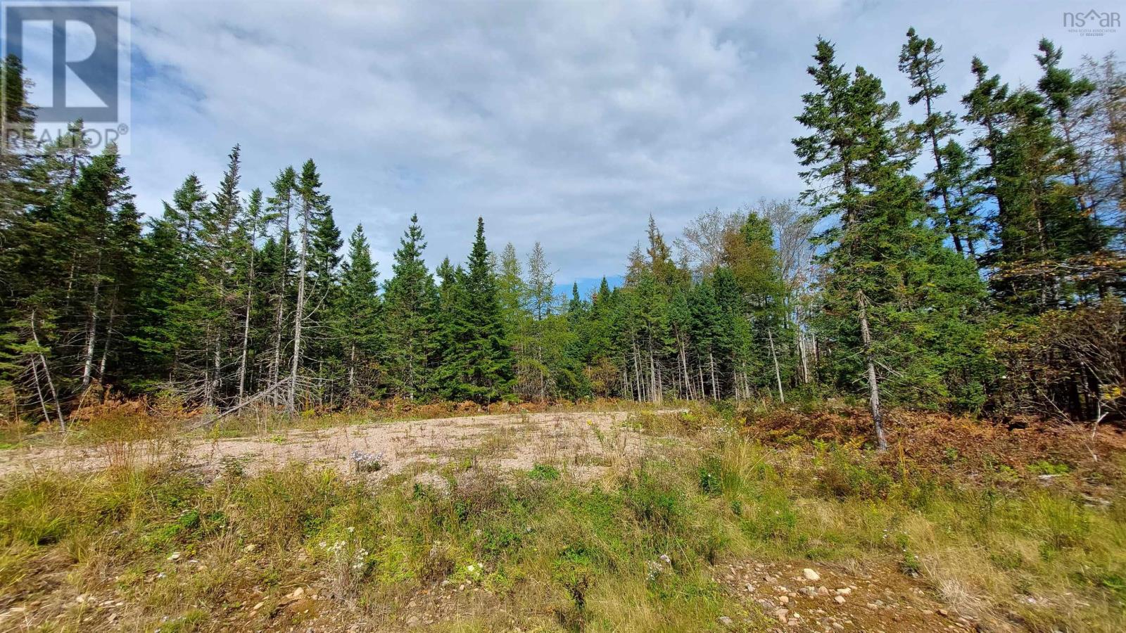 Lot 7 Lower River Rd, Cleveland, Nova Scotia  B0E 1J0 - Photo 8 - 202603181