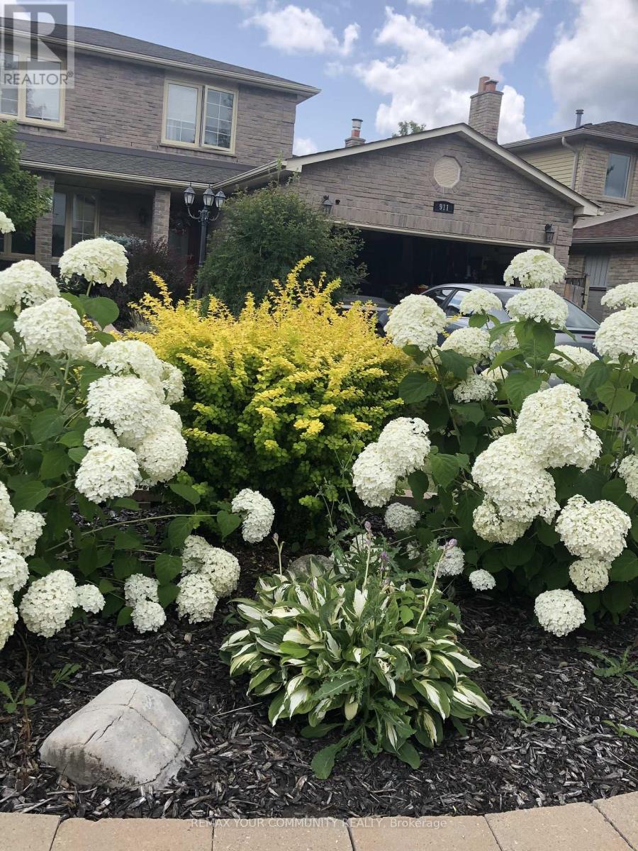 911 Ferndale Crescent, Newmarket, Ontario  L3Y 6B6 - Photo 45 - N12799164