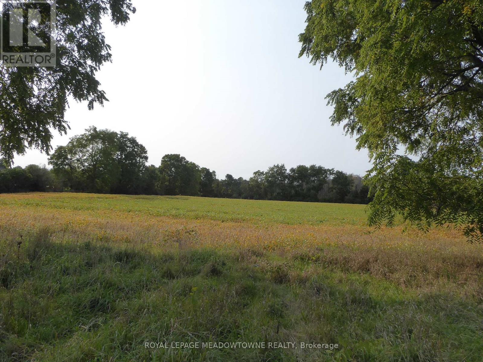 11080 First Line Nassagaweya, Milton, Ontario  L0P 1J0 - Photo 4 - W12808222