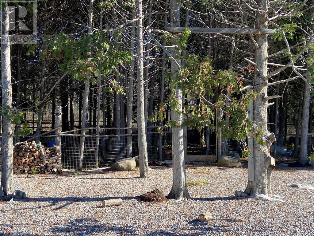 2916 Shannonville Road, Tyendinaga, Ontario  K0K 2V0 - Photo 12 - X12803468