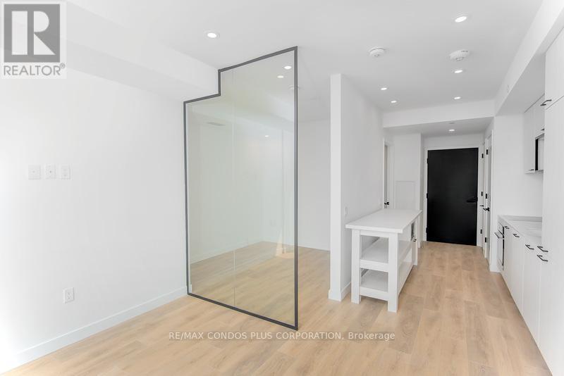 1029 - 505 Richmond Street W, Toronto, Ontario  M5V 0P4 - Photo 9 - C12808238