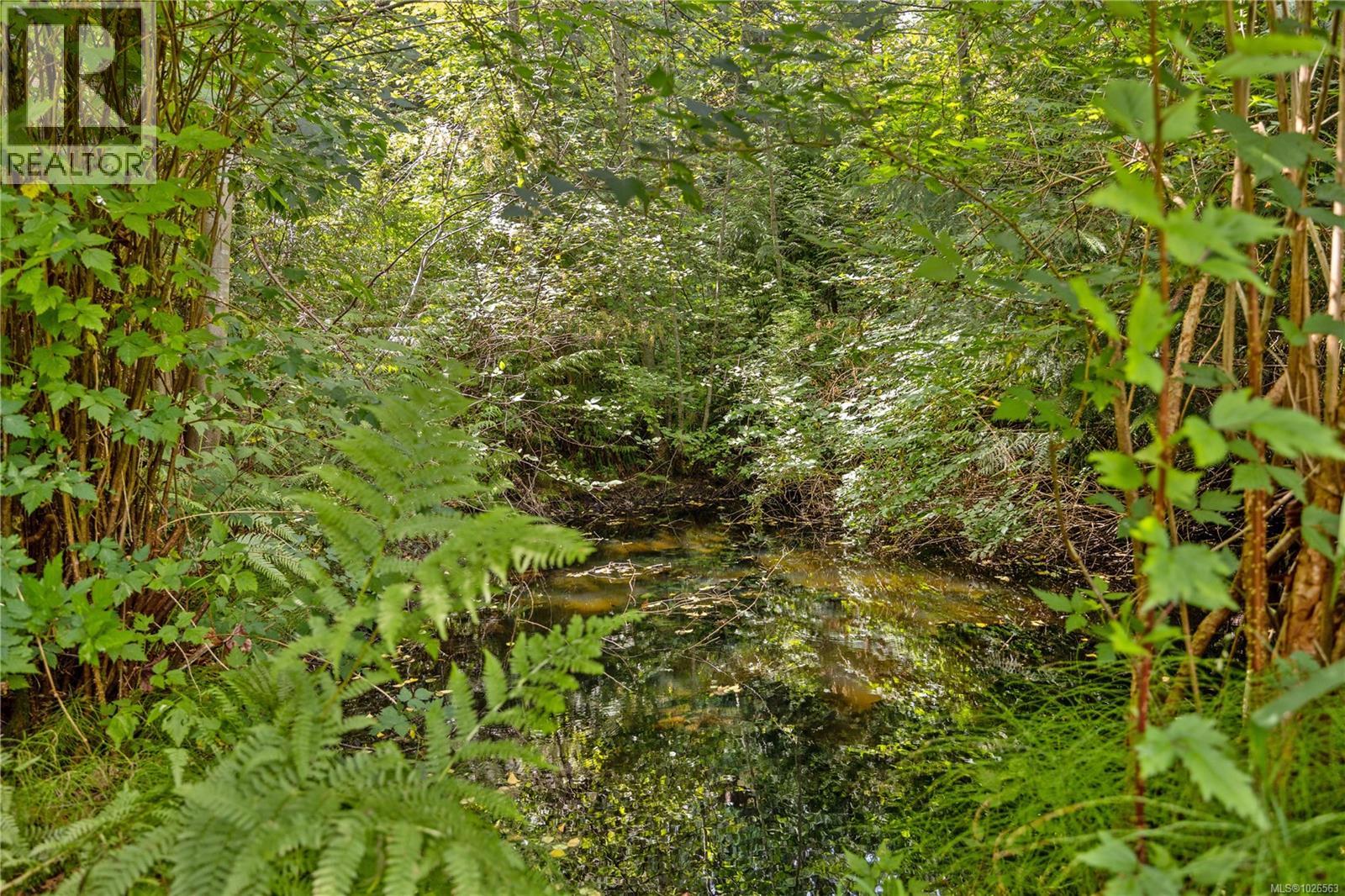 10 Windham Rd, Lasqueti Island, British Columbia  V0R 2J0 - Photo 49 - 1026563