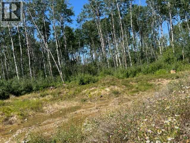 146 Poplar Drive Rr, Conklin, Alberta  T0P 1H1 - Photo 6 - A2194373