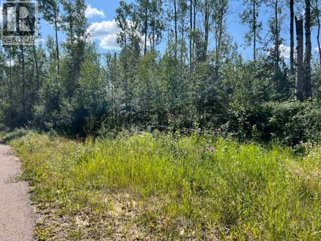 146 Poplar Drive Rr, Conklin, Alberta  T0P 1H1 - Photo 5 - A2194373