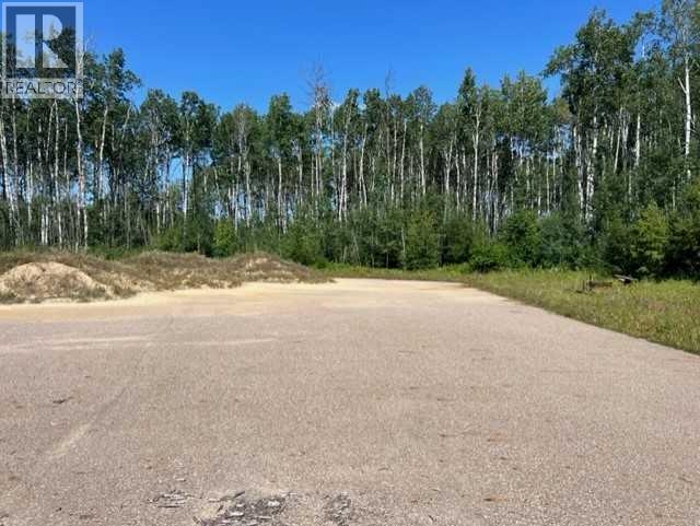 146 Poplar Drive Rr, Conklin, Alberta  T0P 1H1 - Photo 3 - A2194373