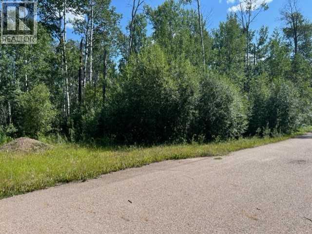 146 Poplar Drive Rr, Conklin, Alberta  T0P 1H1 - Photo 4 - A2194373