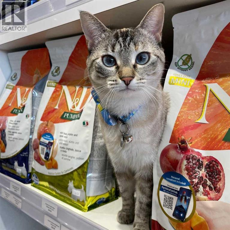 123 Pet Store Way, Edmonton, Alberta  T5G 3E5 - Photo 4 - A2287984