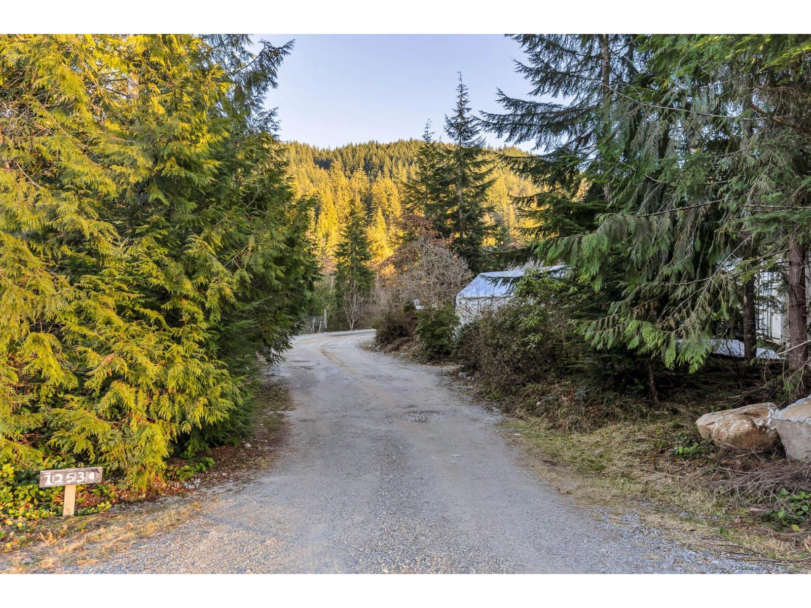 12530 Johnson Street, Mission, British Columbia  V4S 1L5 - Photo 36 - R3082795