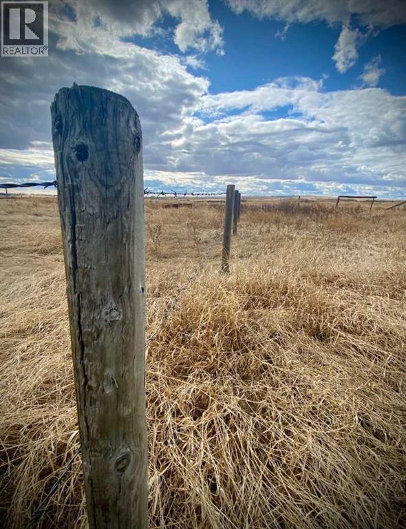 14043 Twp Rd 393, Rural Provost No. 52, Alberta  T0B 1X0 - Photo 12 - A2041620