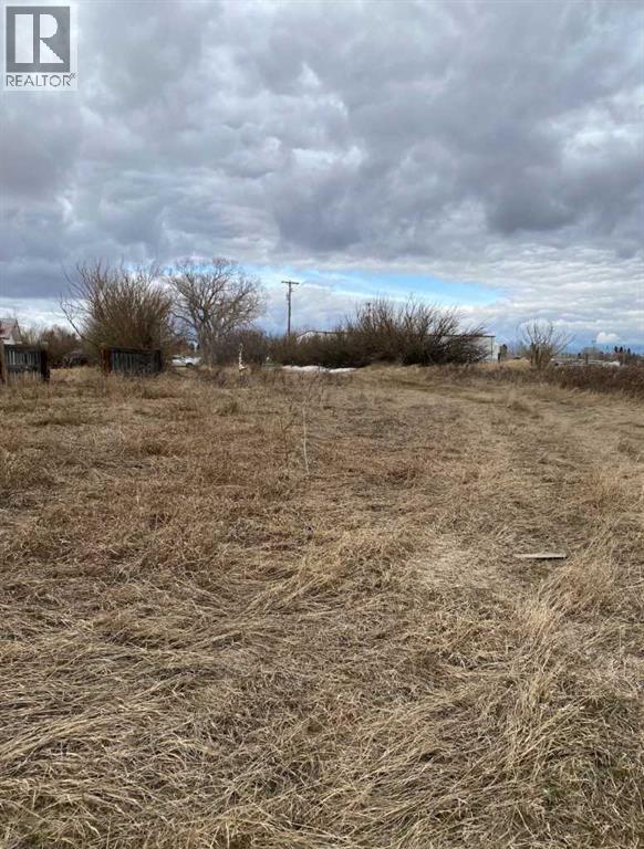 14043 Twp Rd 393, Rural Provost No. 52, Alberta  T0B 1X0 - Photo 11 - A2041620