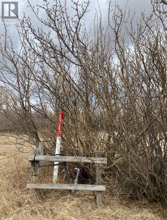 14043 Twp Rd 393, Rural Provost No. 52, Alberta  T0B 1X0 - Photo 20 - A2041620