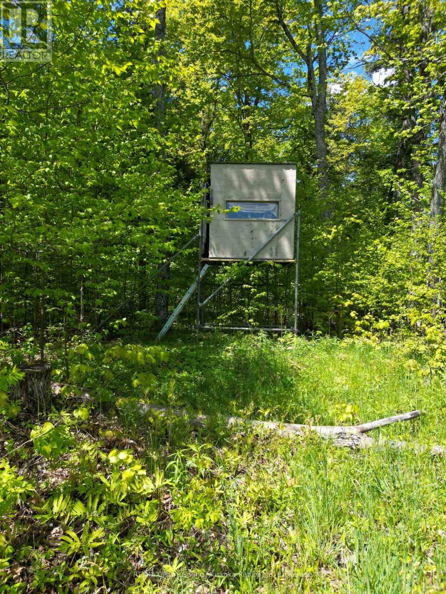 791 Clear Lake Road, Parry Sound Remote Area (Arnstein), Ontario  P0H 1A0 - Photo 13 - X12808548