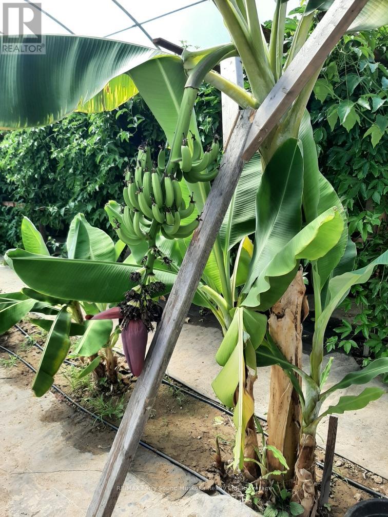 791 Clear Lake Road, Parry Sound Remote Area (Arnstein), Ontario  P0H 1A0 - Photo 2 - X12808548