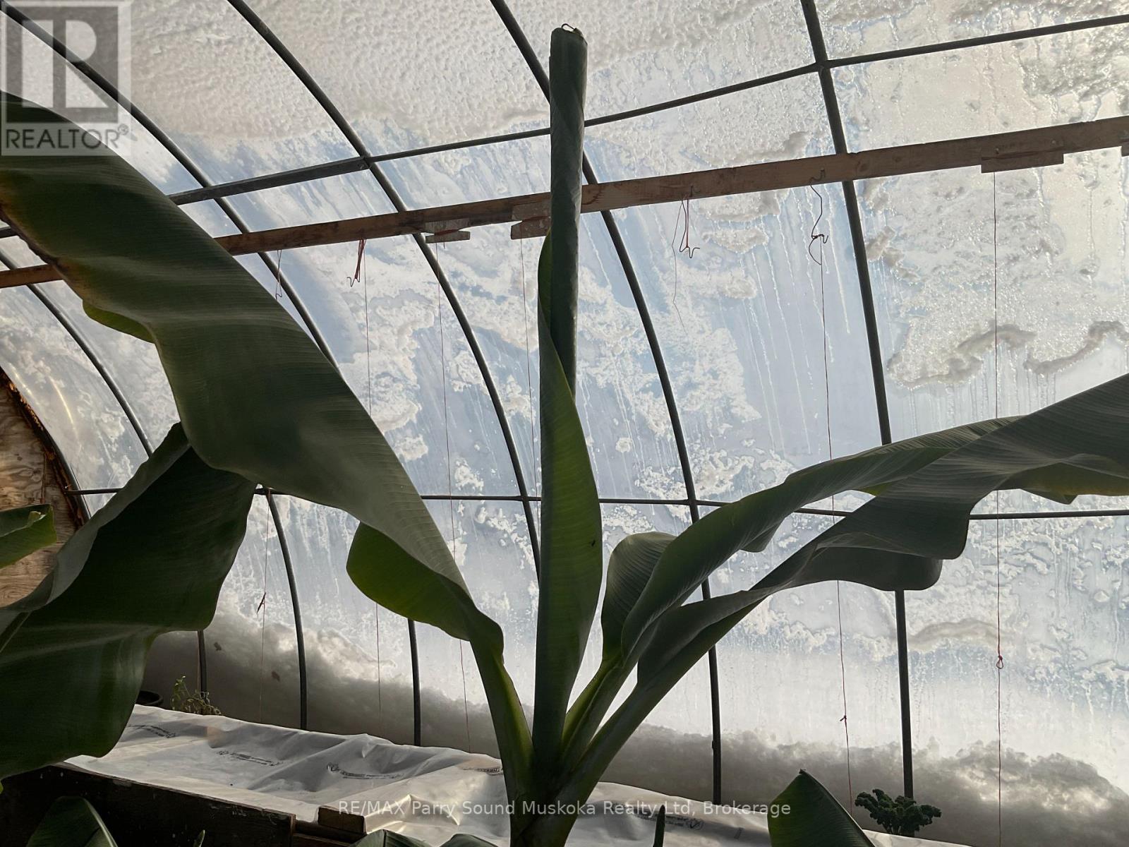 791 Clear Lake Road, Parry Sound Remote Area (Arnstein), Ontario  P0H 1A0 - Photo 33 - X12808548