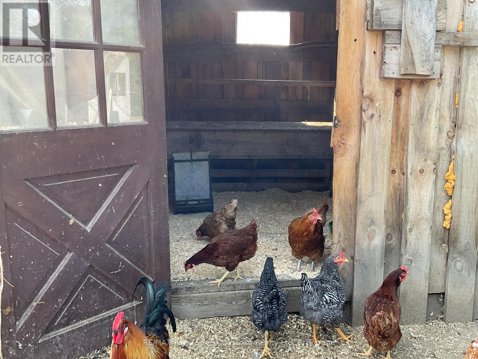 791 Clear Lake Road, Parry Sound Remote Area (Arnstein), Ontario  P0H 1A0 - Photo 36 - X12808548