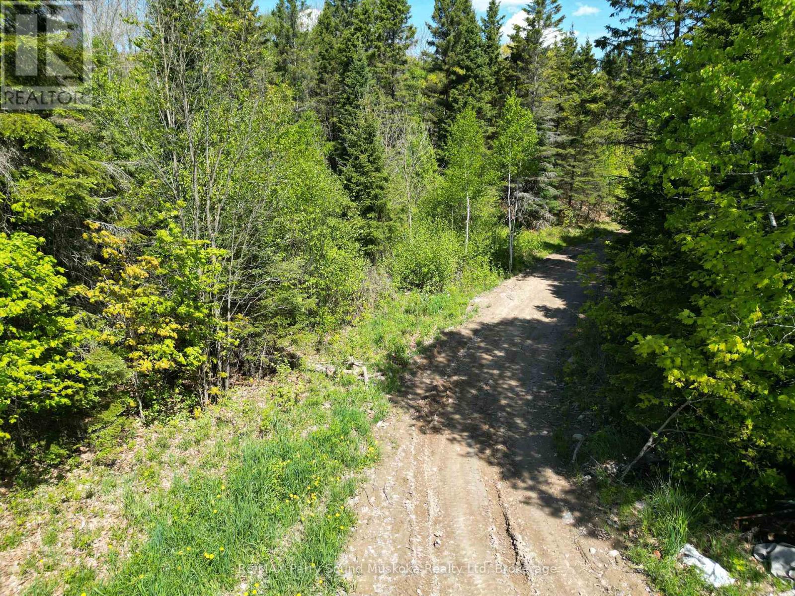 791 Clear Lake Road, Parry Sound Remote Area (Arnstein), Ontario  P0H 1A0 - Photo 5 - X12808548