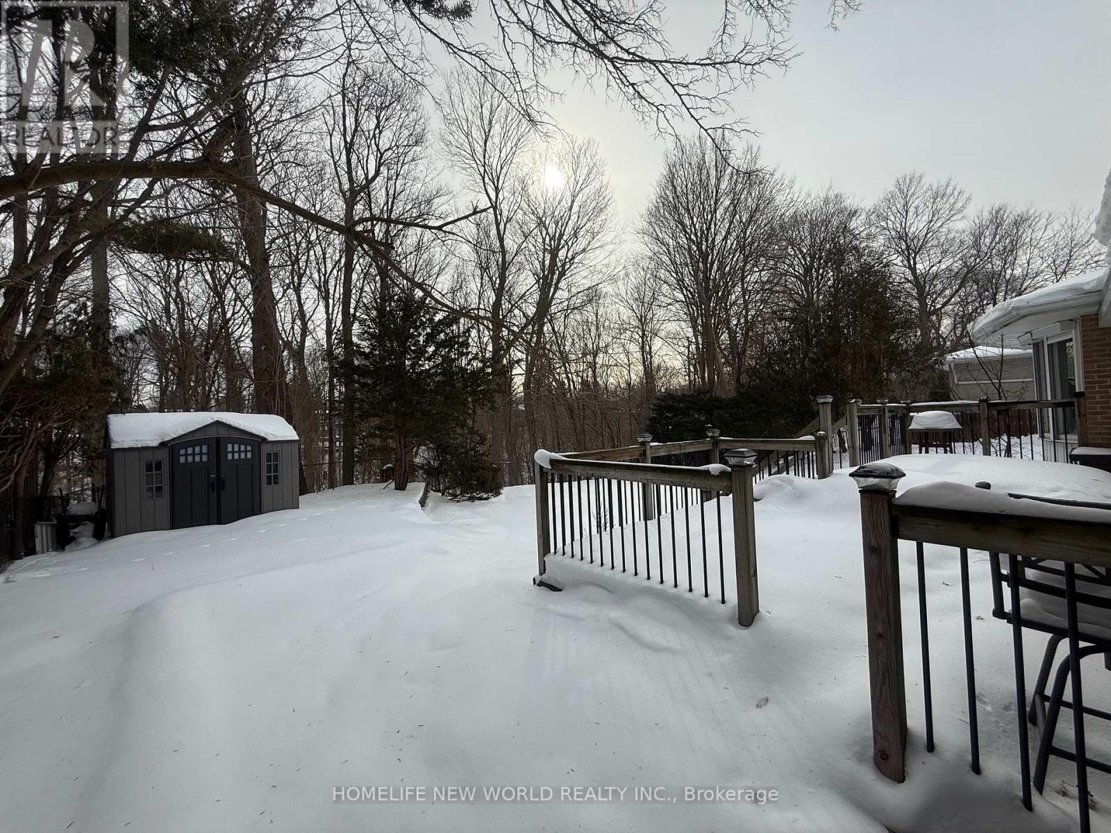 Basement - 59 Forest Grove Drive, Toronto, Ontario  M2K 1Z4 - Photo 22 - C12808530