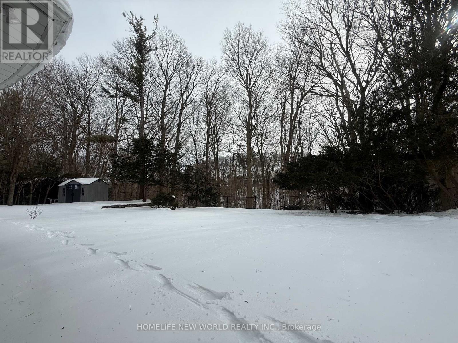 Basement - 59 Forest Grove Drive, Toronto, Ontario  M2K 1Z4 - Photo 24 - C12808530