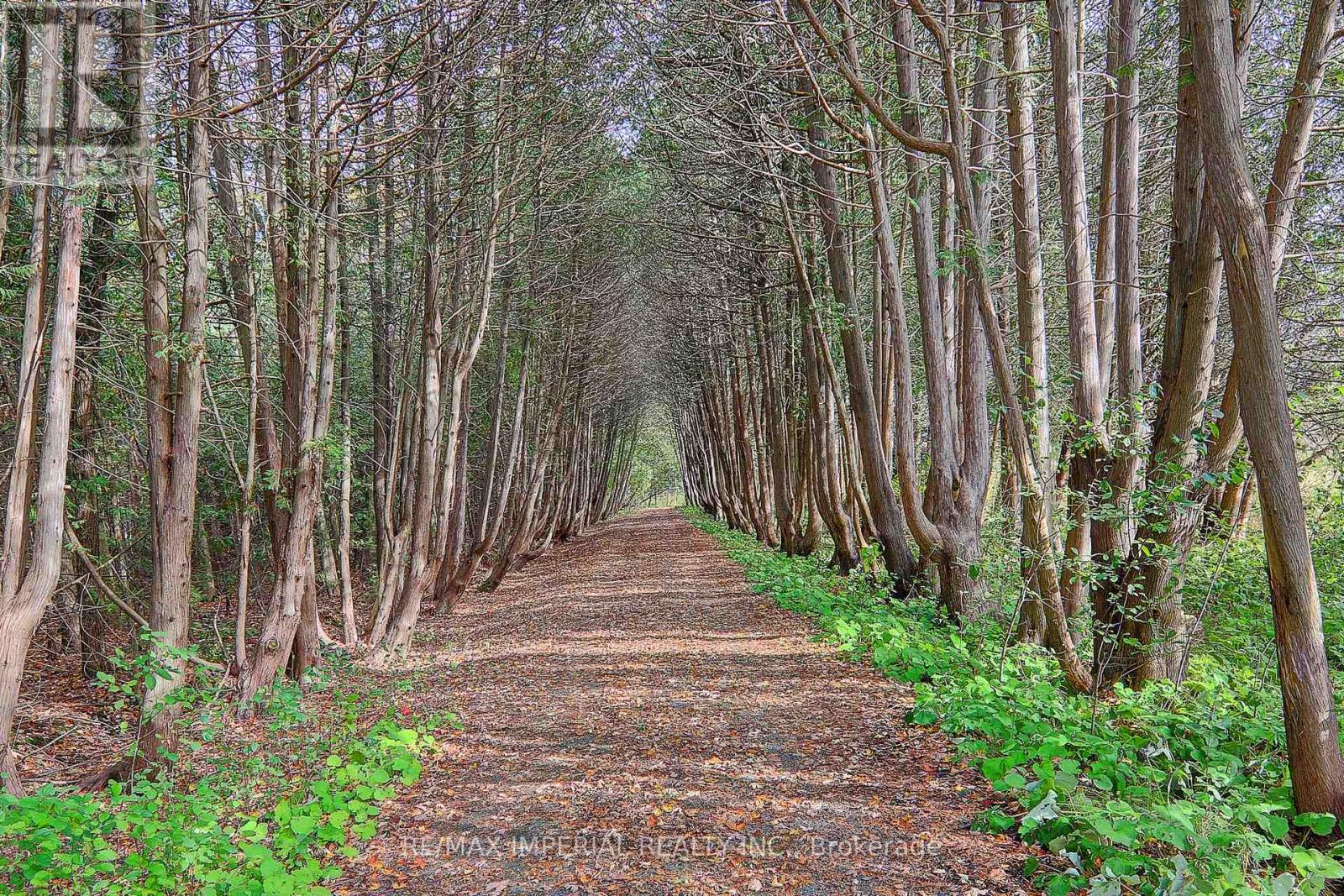 13231 Kennedy Road, Whitchurch-Stouffville, Ontario L4X 7X5 - Photo 1 - N12808550