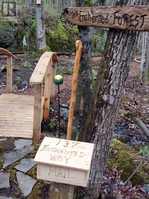 137 Pickerel Point Road, Georgian Bay, Ontario  L0K 1S0 - Photo 42 - X12808518