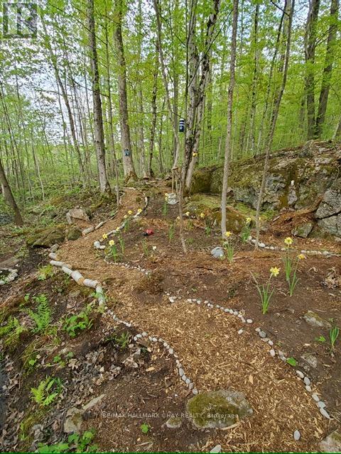 137 Pickerel Point Road, Georgian Bay, Ontario  L0K 1S0 - Photo 43 - X12808518