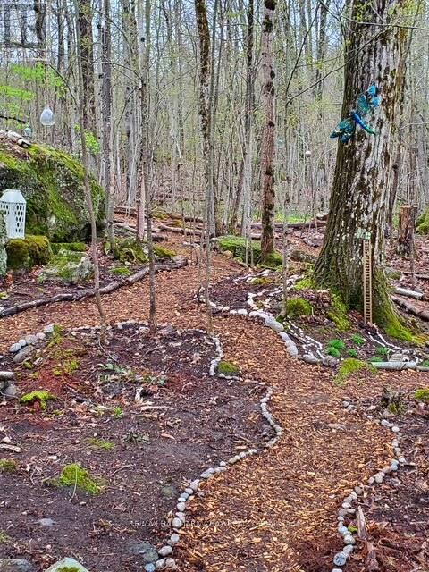 137 Pickerel Point Road, Georgian Bay, Ontario  L0K 1S0 - Photo 45 - X12808518