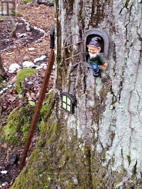 137 Pickerel Point Road, Georgian Bay, Ontario  L0K 1S0 - Photo 46 - X12808518