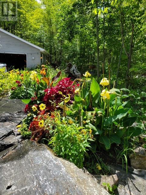 137 Pickerel Point Road, Georgian Bay, Ontario  L0K 1S0 - Photo 49 - X12808518