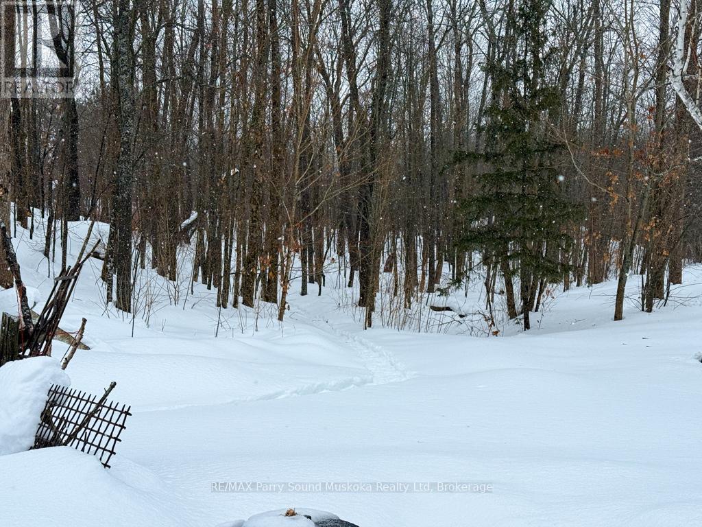 4 Butler Street, Whitestone, Ontario  P0A 1G0 - Photo 28 - X12808620