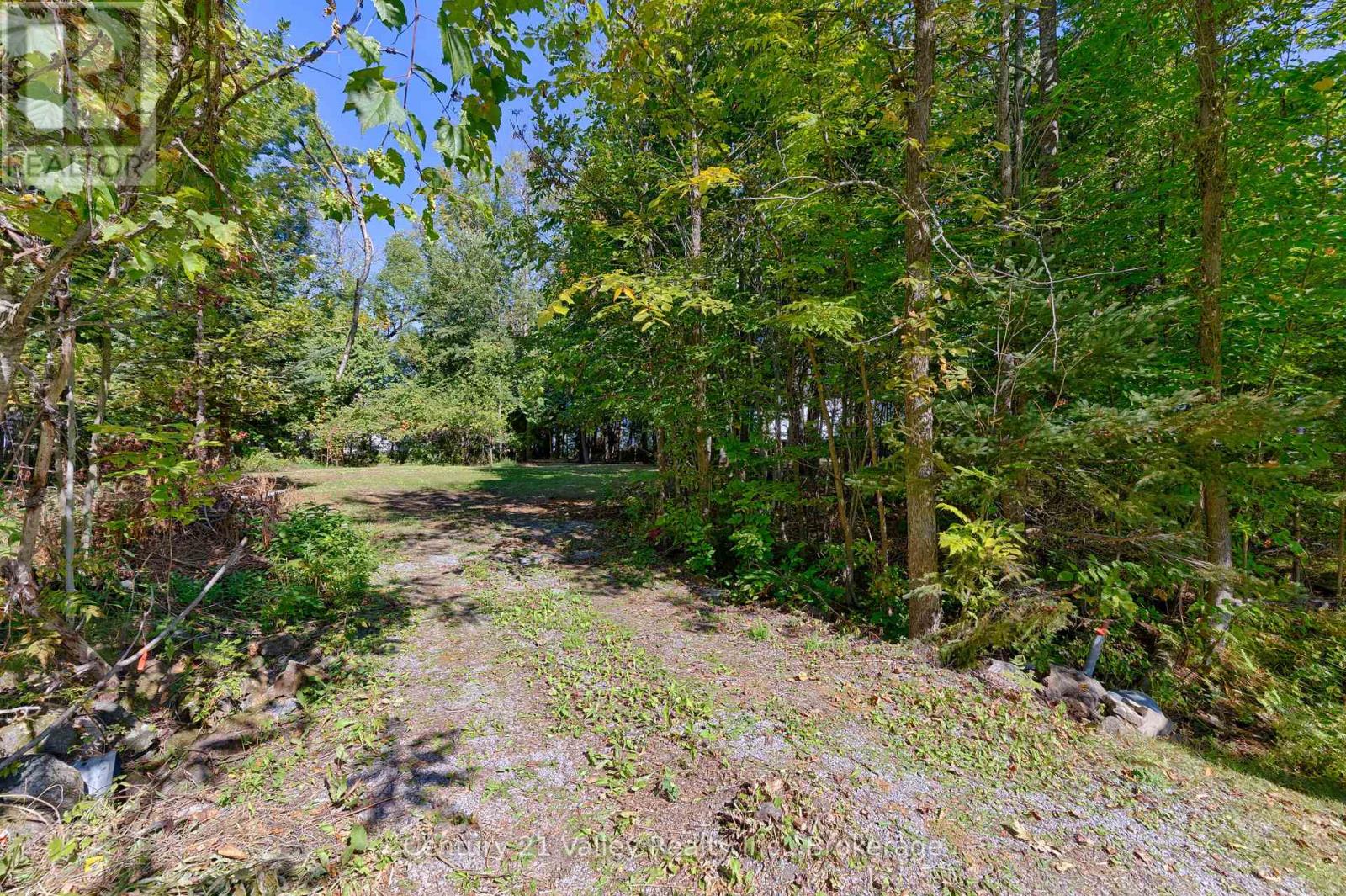 0 Smiths Bay Road, North Algona Wilberforce, Ontario  K0J 1T0 - Photo 14 - X12808624