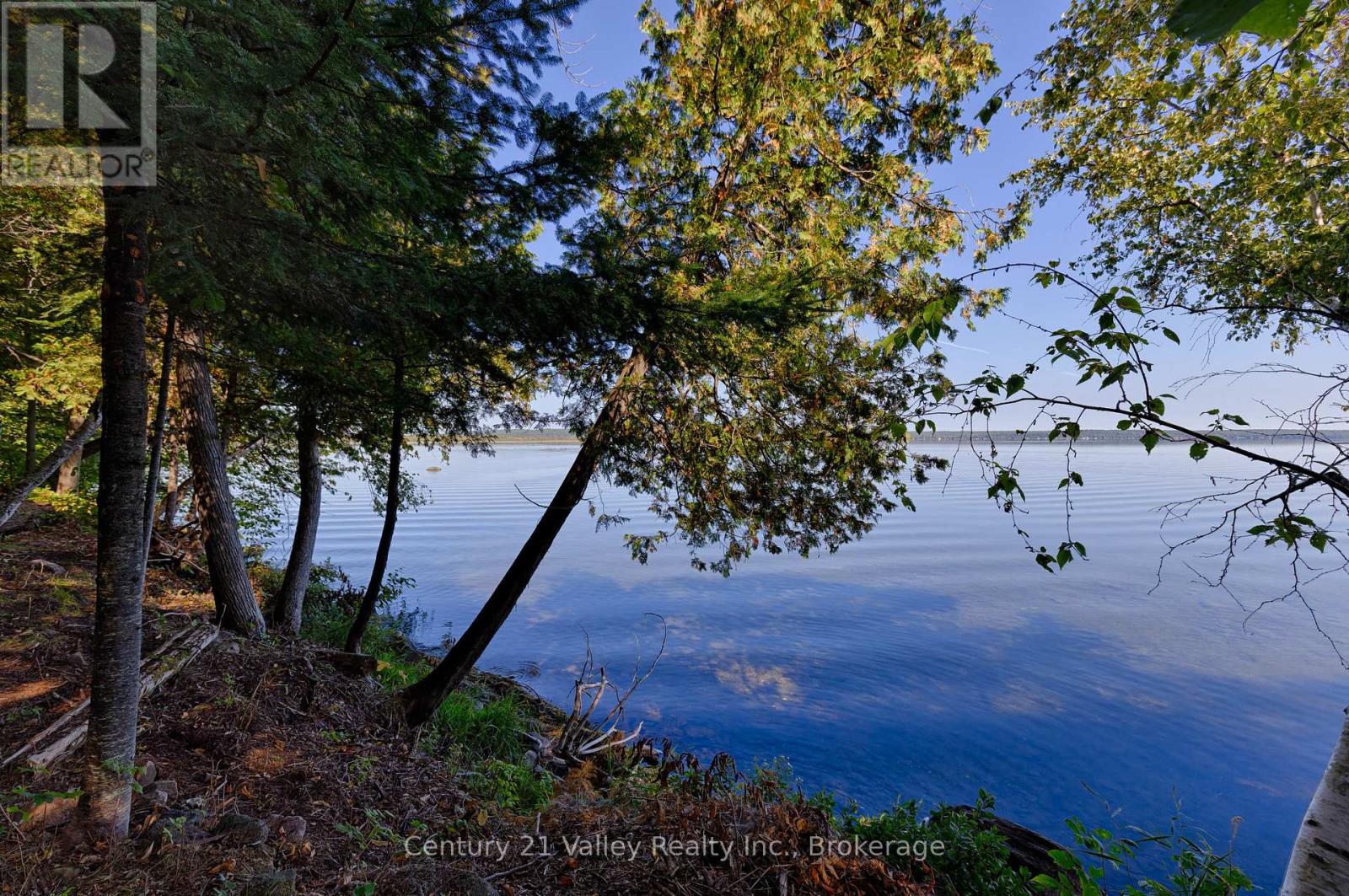 0 Smiths Bay Road, North Algona Wilberforce, Ontario  K0J 1T0 - Photo 19 - X12808624