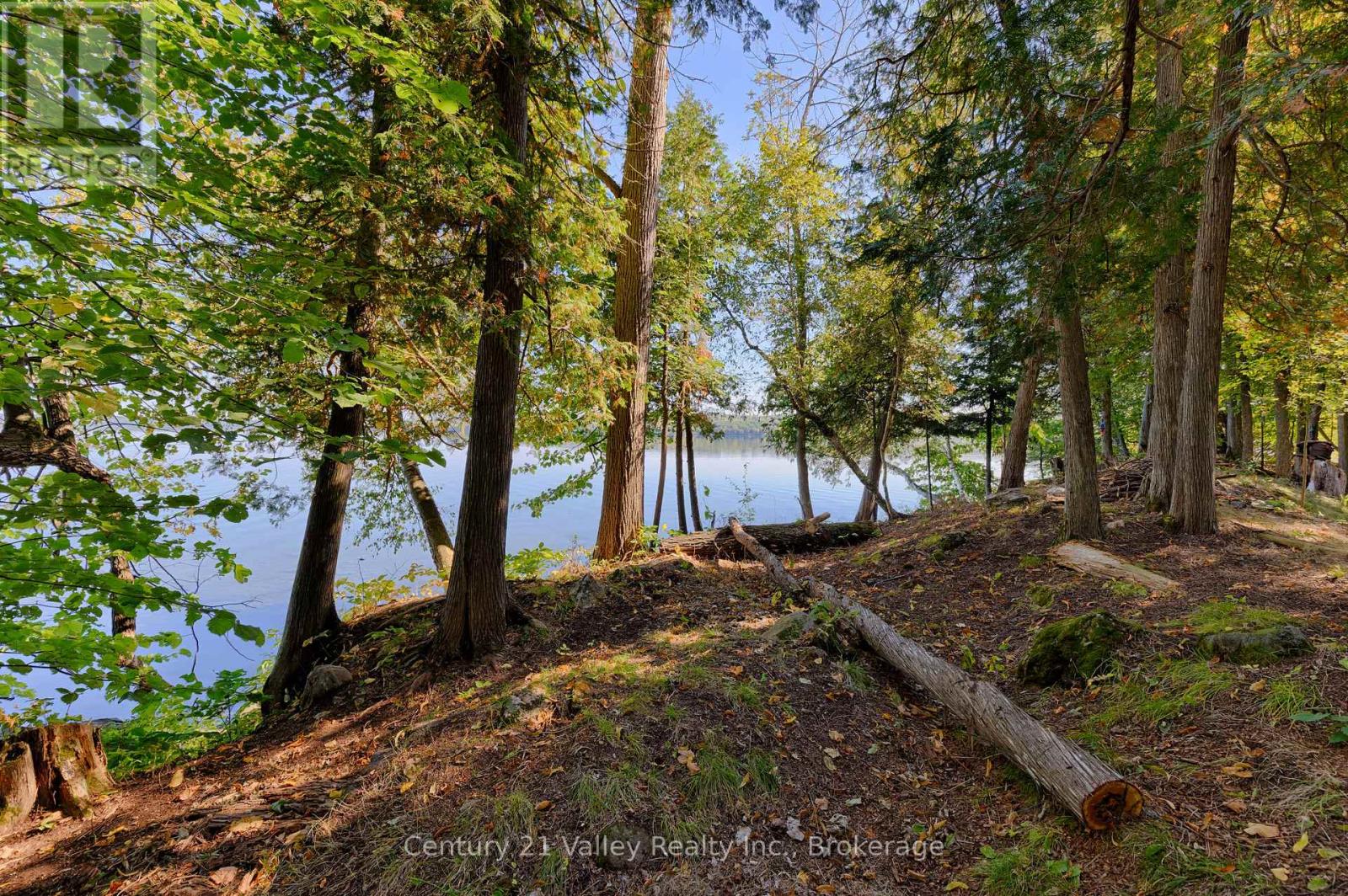 0 Smiths Bay Road, North Algona Wilberforce, Ontario  K0J 1T0 - Photo 20 - X12808624