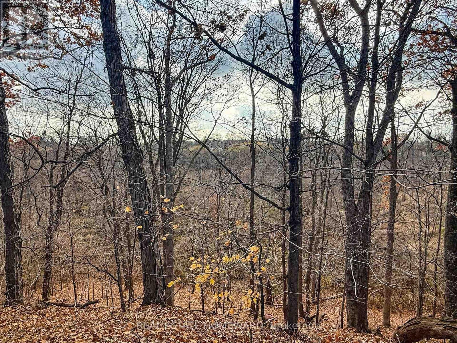 3058 Viewmount Road, Oakville, Ontario  L6L 5M7 - Photo 31 - W12690394